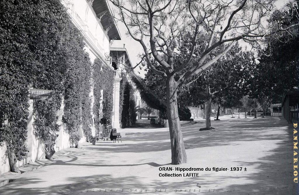 ORAN 1937 HYPPODROME DU FIGIER    (8).jpg